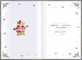 Boofles standing on ladder hanging -Sister & Partner Christmas Card